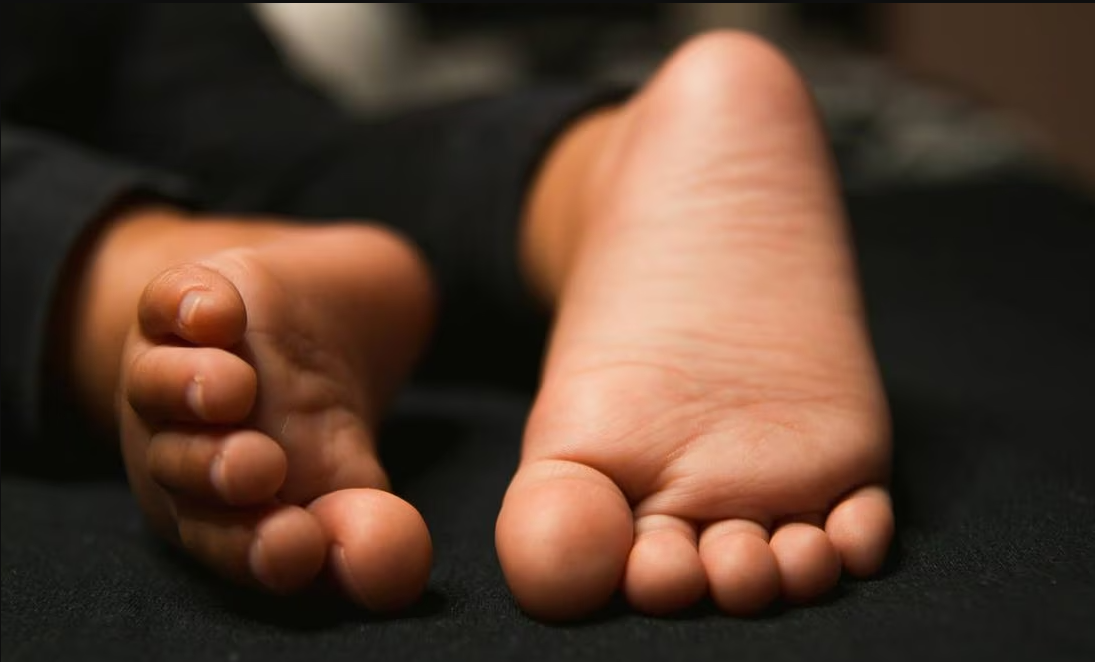 Hallan sin vida a niña de 10 años al interior de su casa en Topolobampo, Sinaloa; investigan agresión sexual