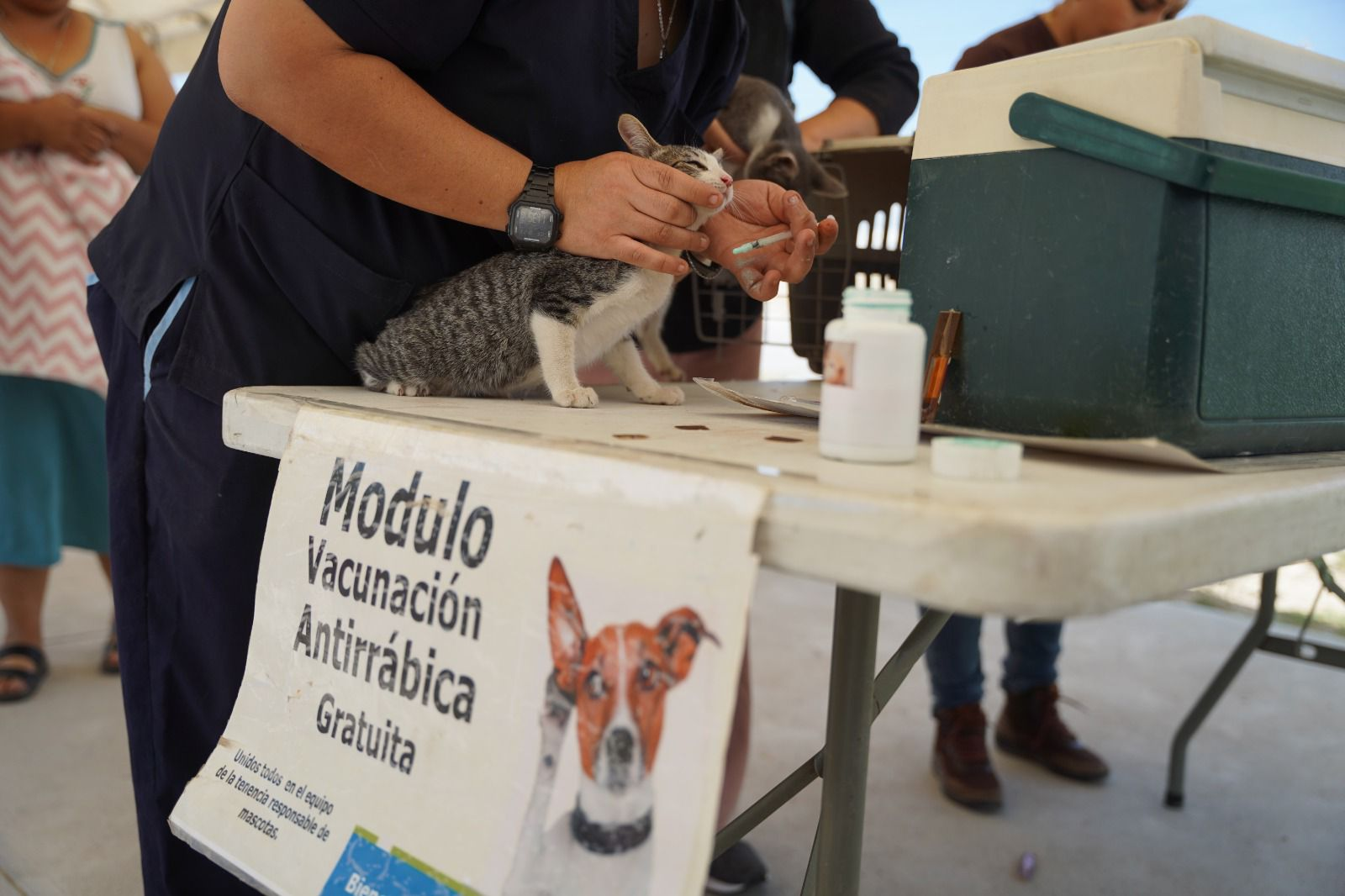 REALIZARÁN BRIGADA DE SALUD ANIMAL EN LA PLAZA DEL ÁGUILA