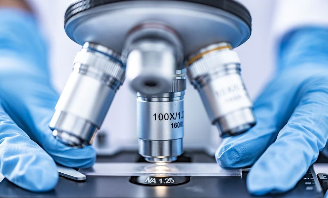 El superalimento eficaz en la lucha contra el cáncer, según médicos