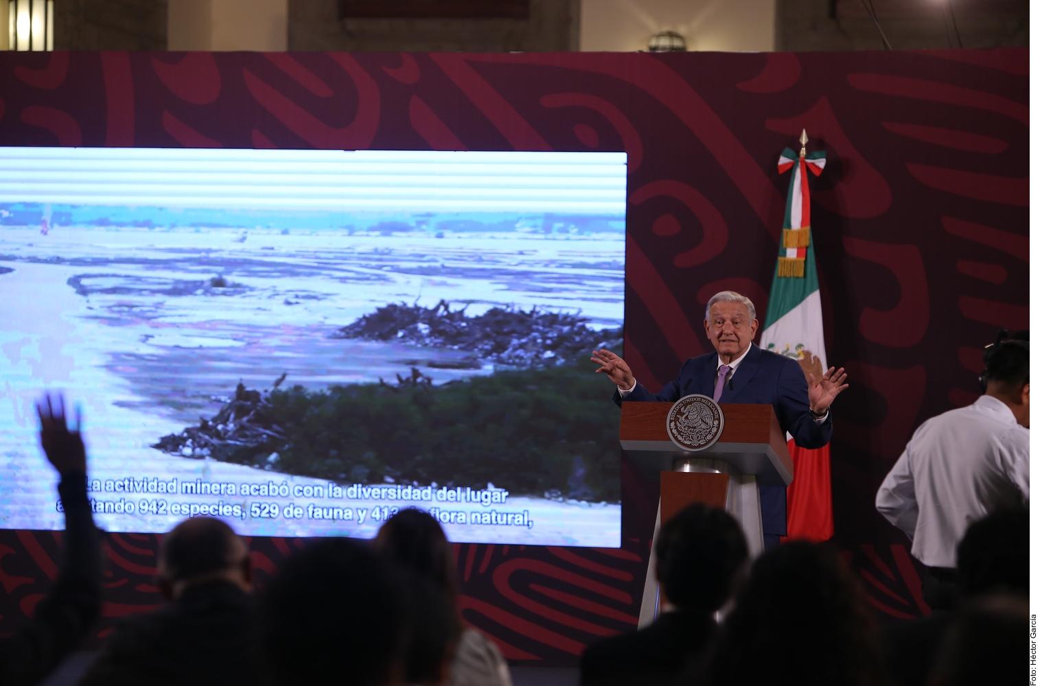 AMLO reconoce daño a cenote por obra del Tren Maya