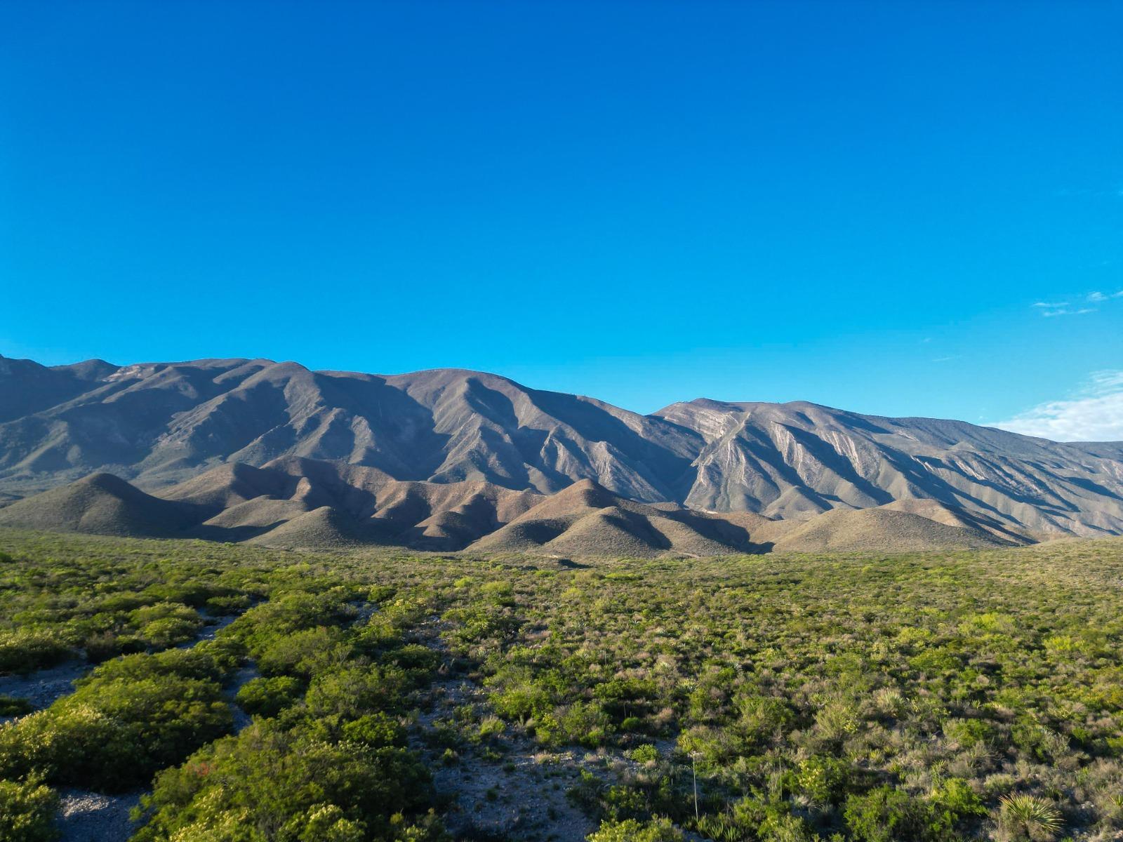 Buscan grupos Ambientalistas declarar ANP a Sierra de Parras
