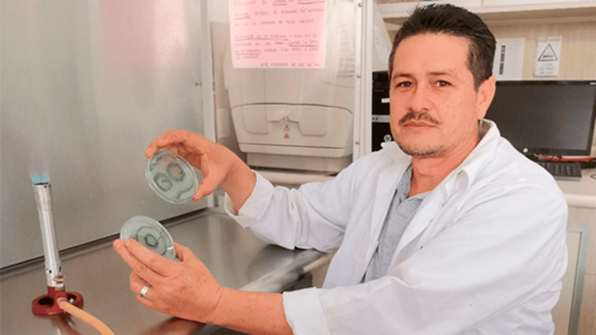 Nuevas aportaciones de la ciencia para salvar árboles