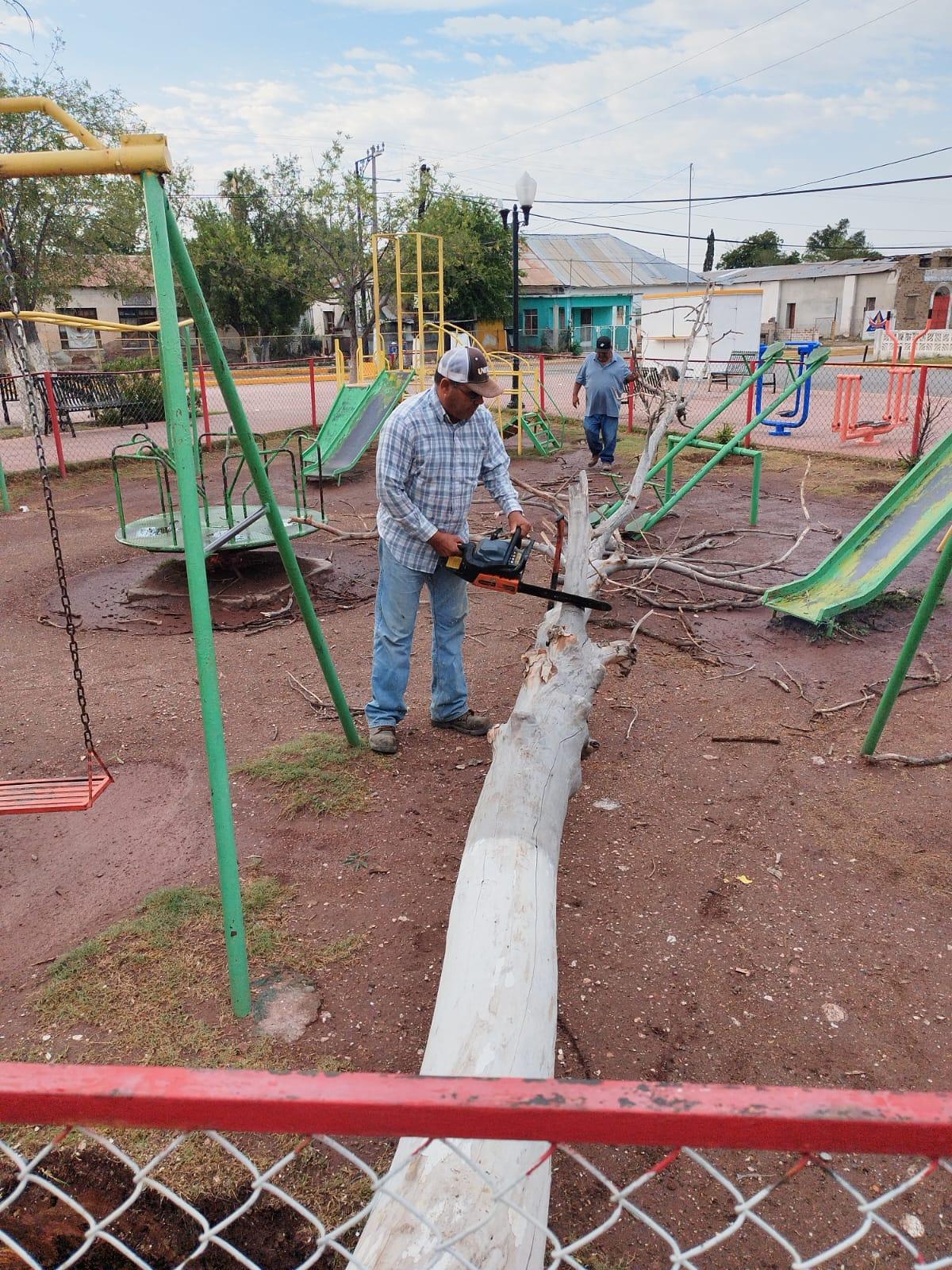 Dejó tormenta daños en 14 instituciones educativas