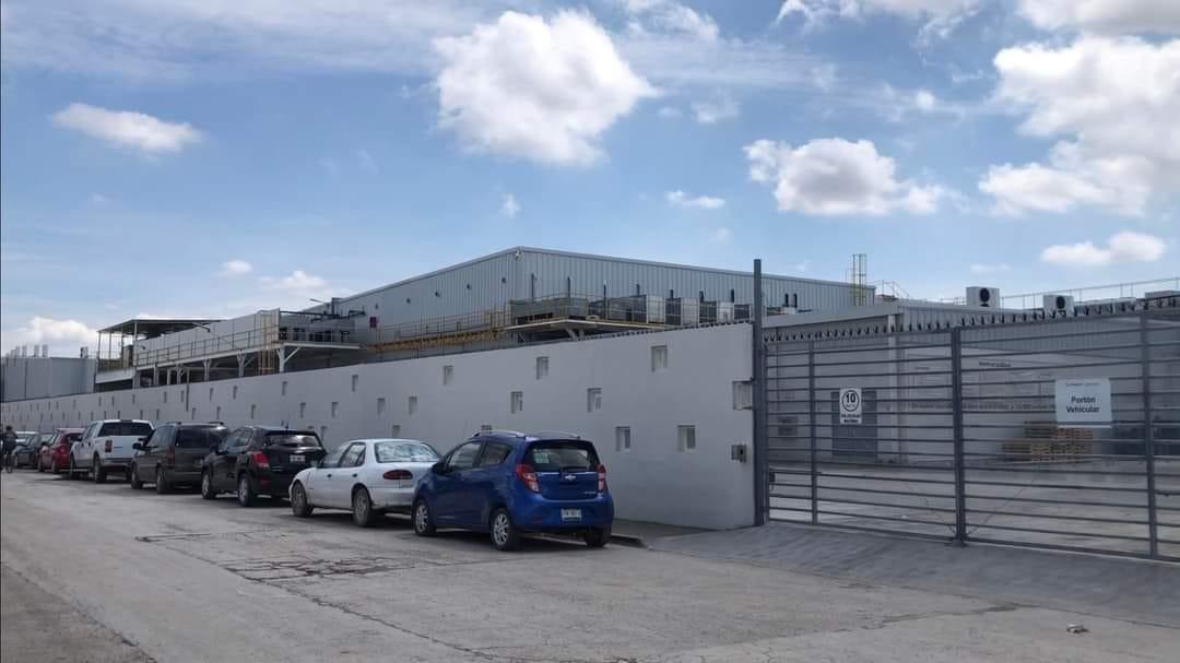 Detectan piojos a empleadas de planta AVOMEX