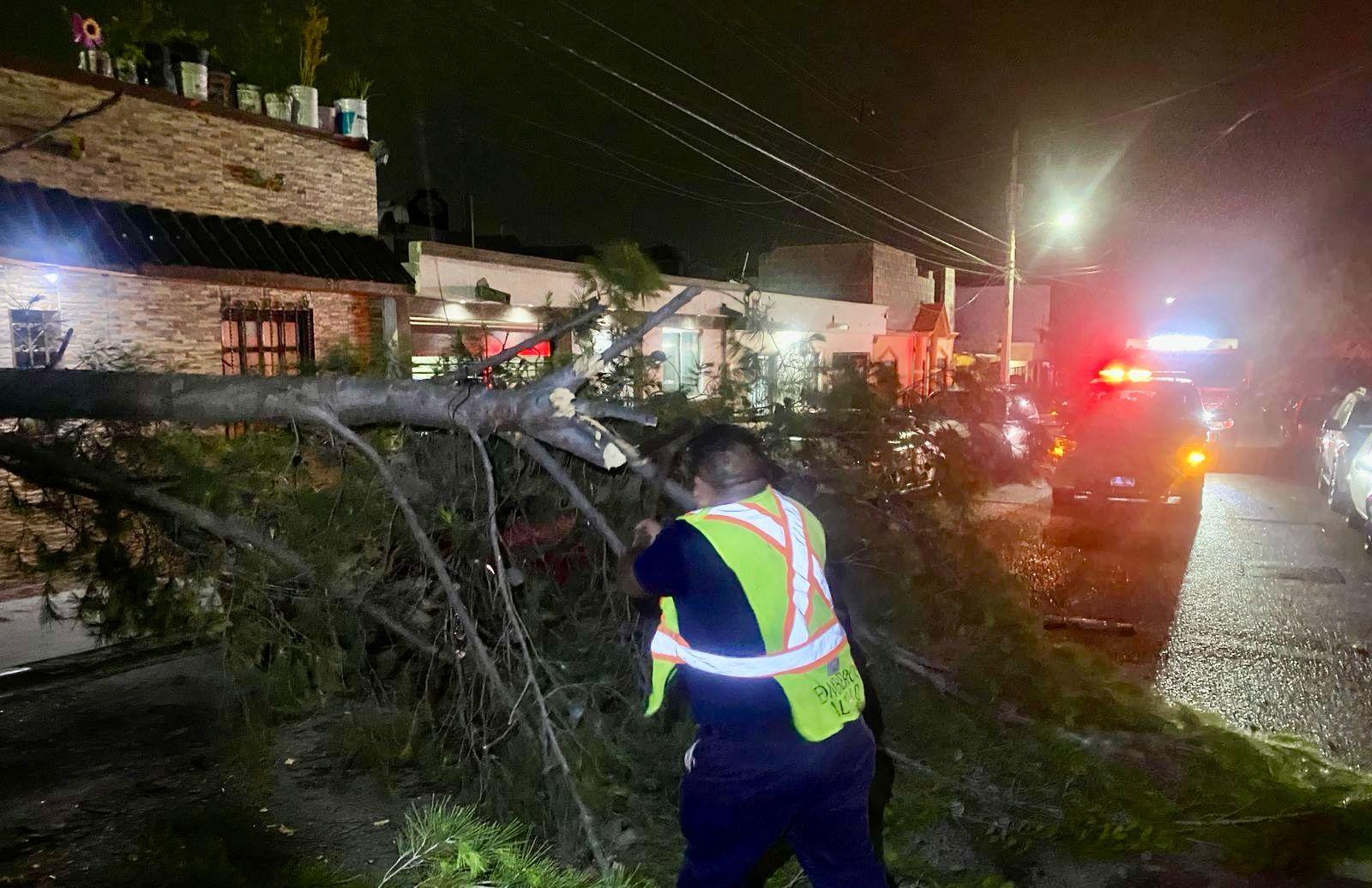 Atienden en Saltillo reportes ciudadanos por vientos y lluvias