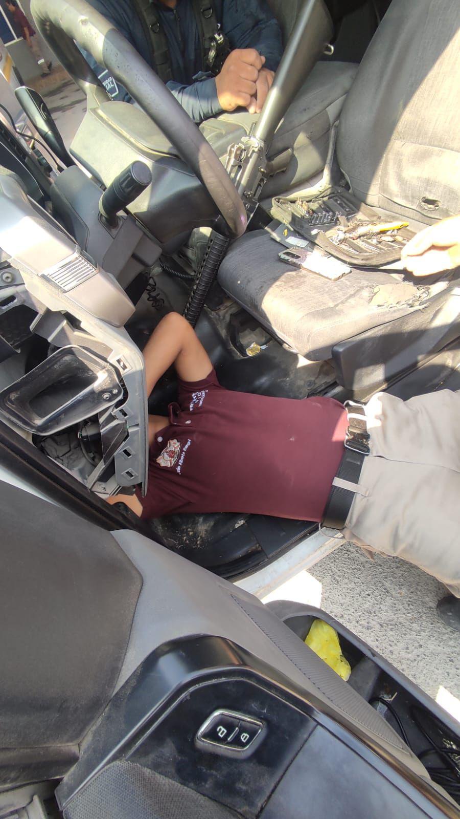 Rescate felino en Cd. Frontera