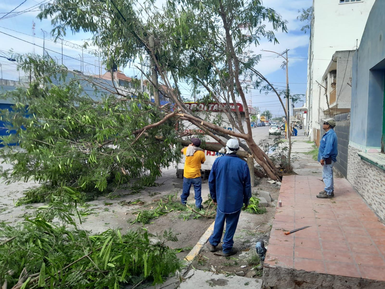 Recorre Alcaldesa zonas afectadas