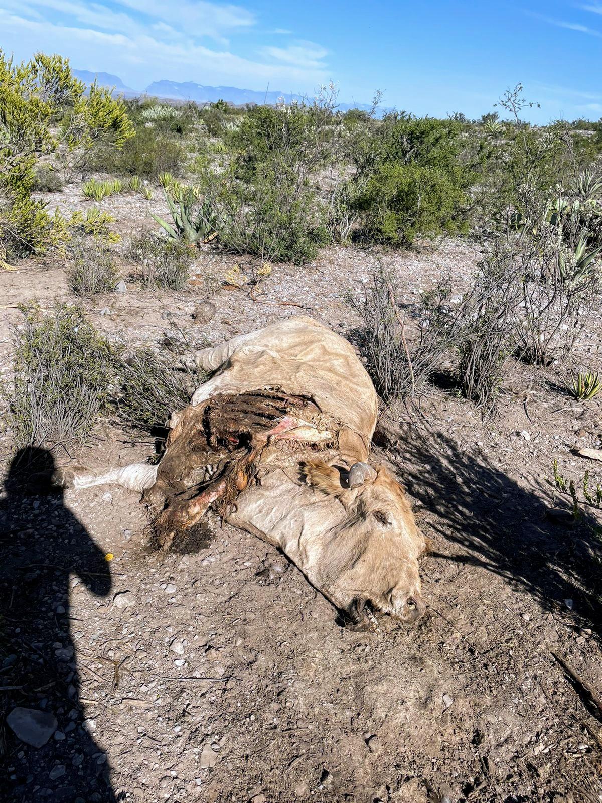 Se ensaña la naturaleza con obreros-campesinos