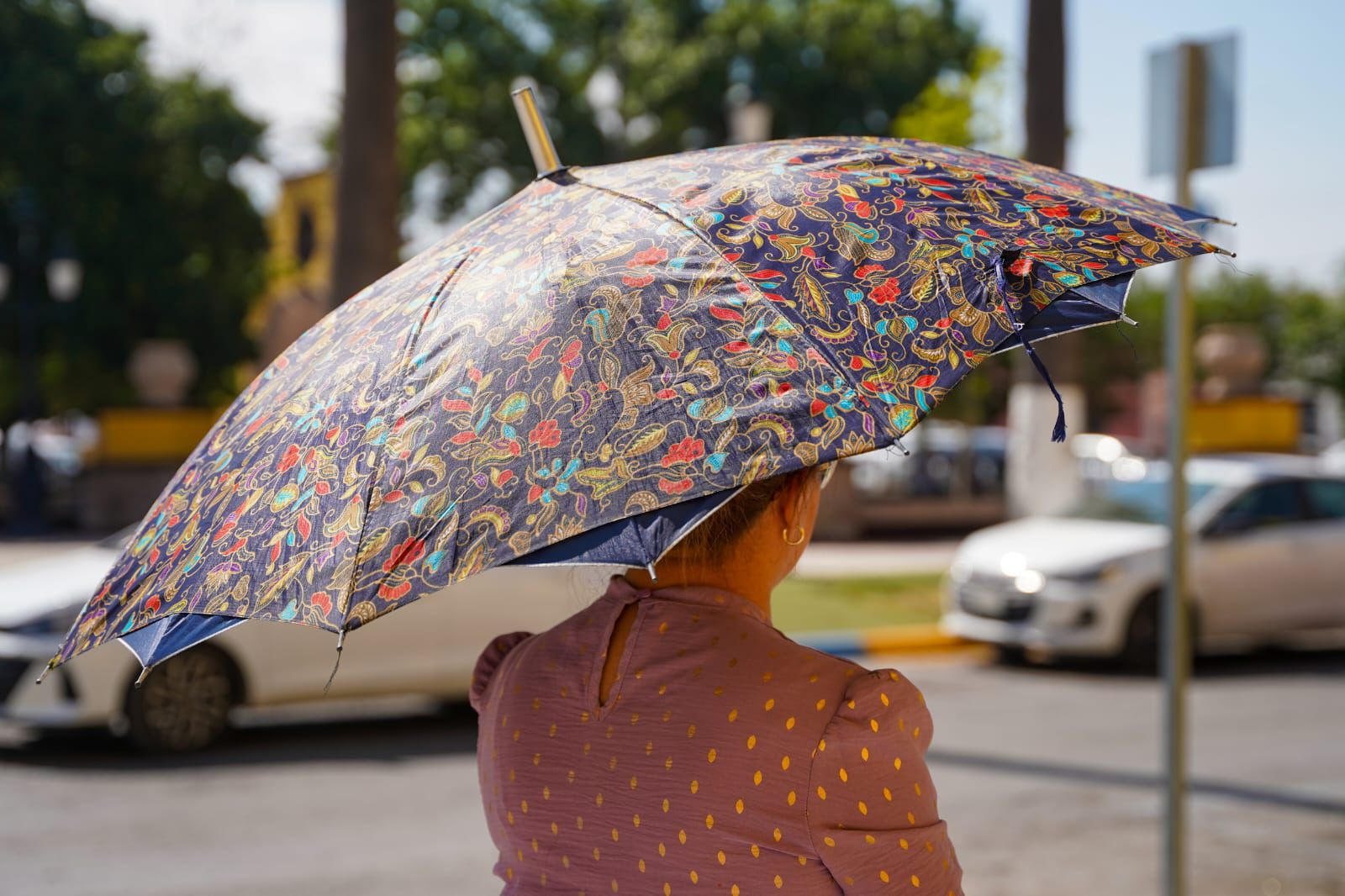 EXHORTAN A RAMOSARIZPENSES A EXTREMAR MEDIDAS POR CALOR