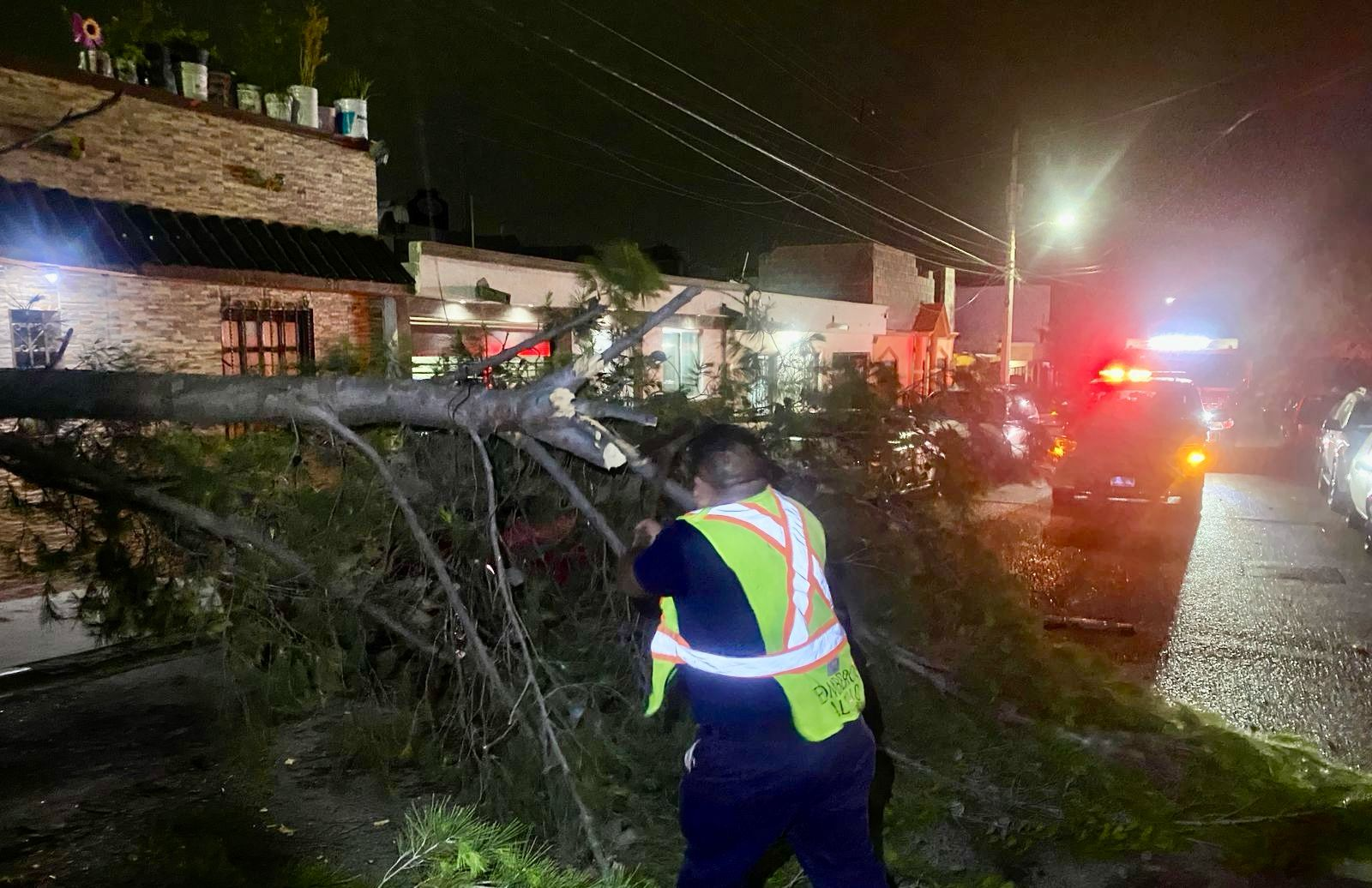 Atiende Gobierno de Saltillo reportes durante la madrugada por vientos y lluvias