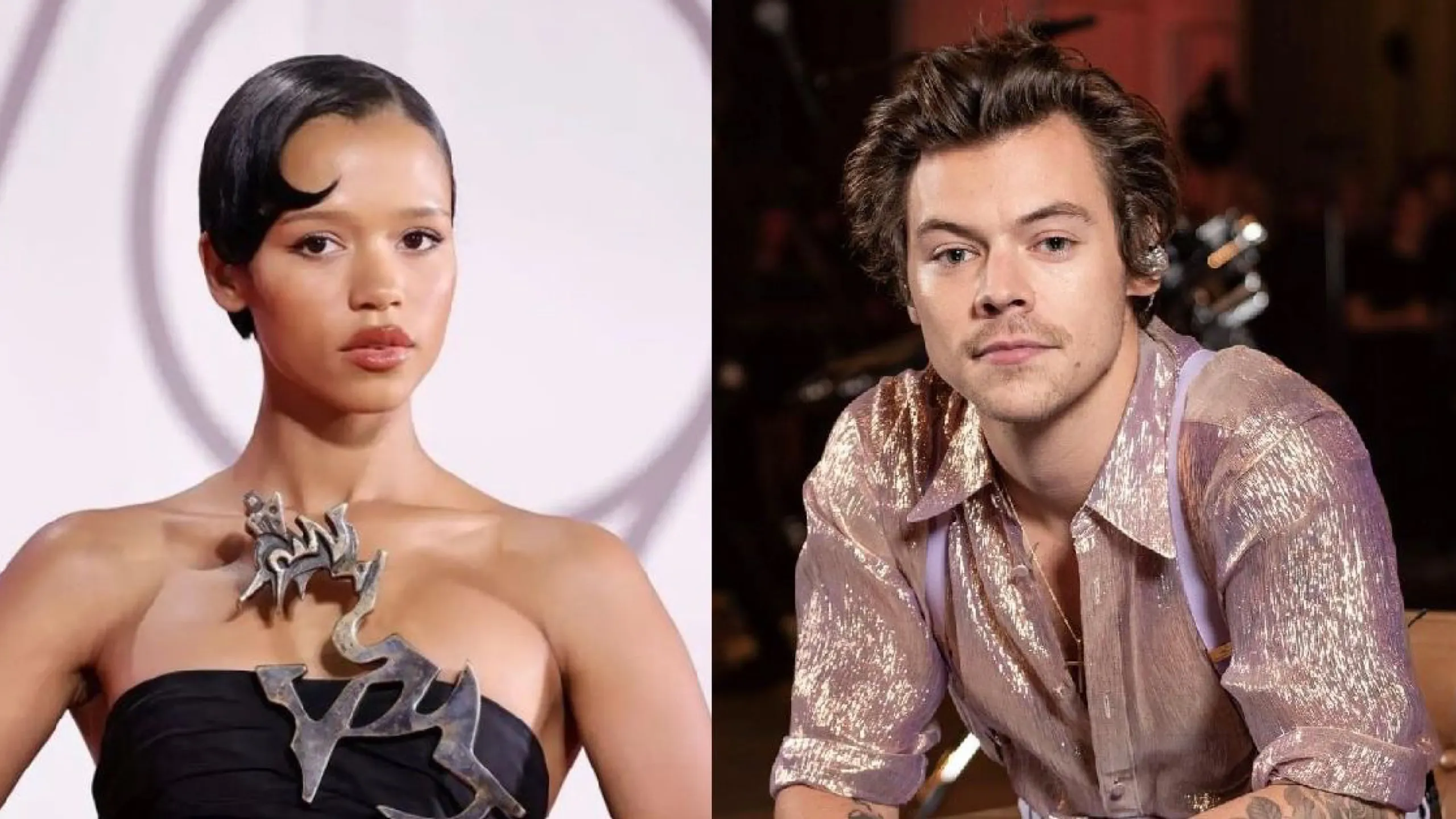 Harry Styles y su novia Taylor Russell se habrían separado; ¿qué sucedió?