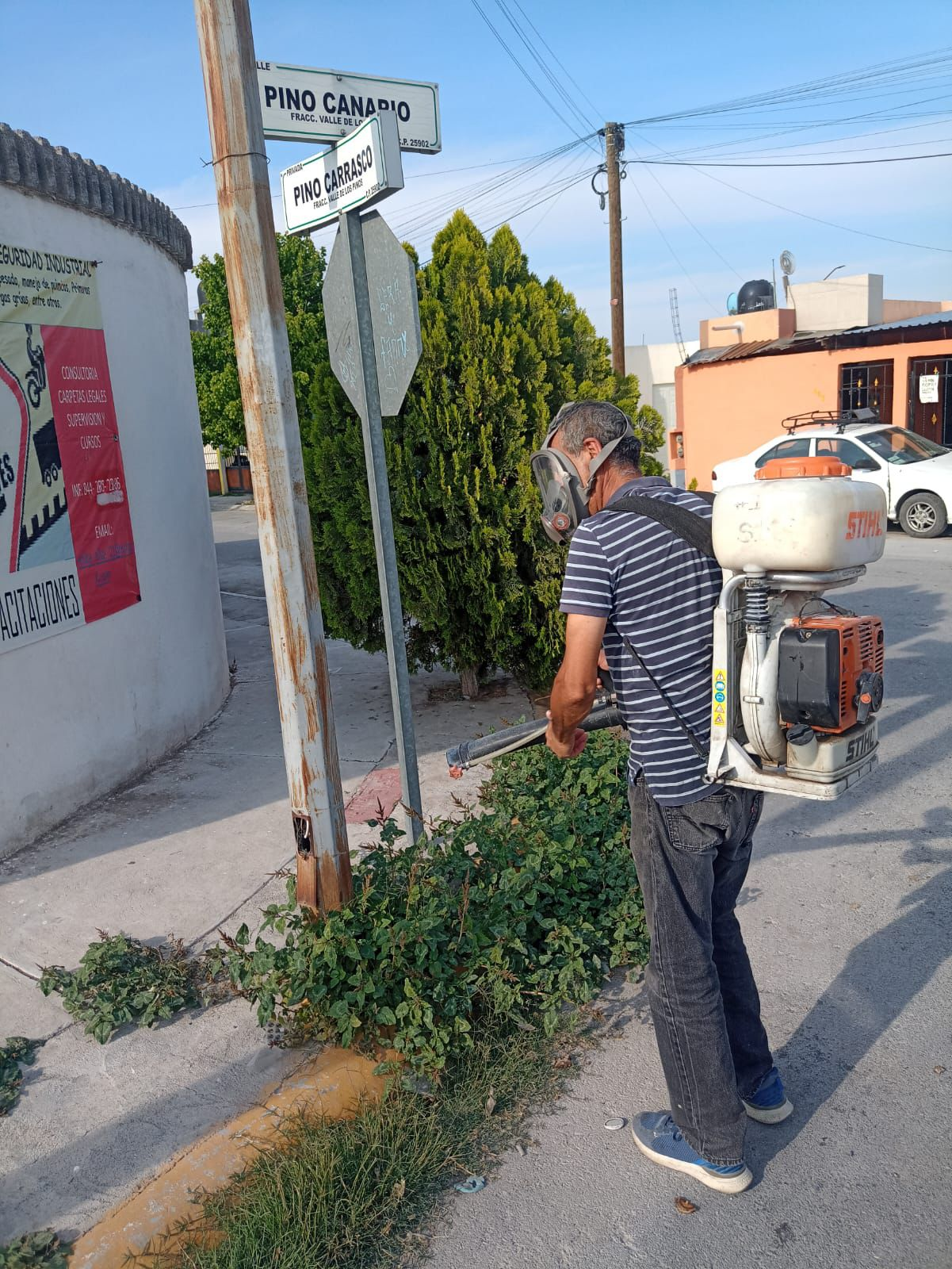 FUMIGACIÓN INTENSIVA CONTRA CHINCHES EN RAMOS ARIZPE