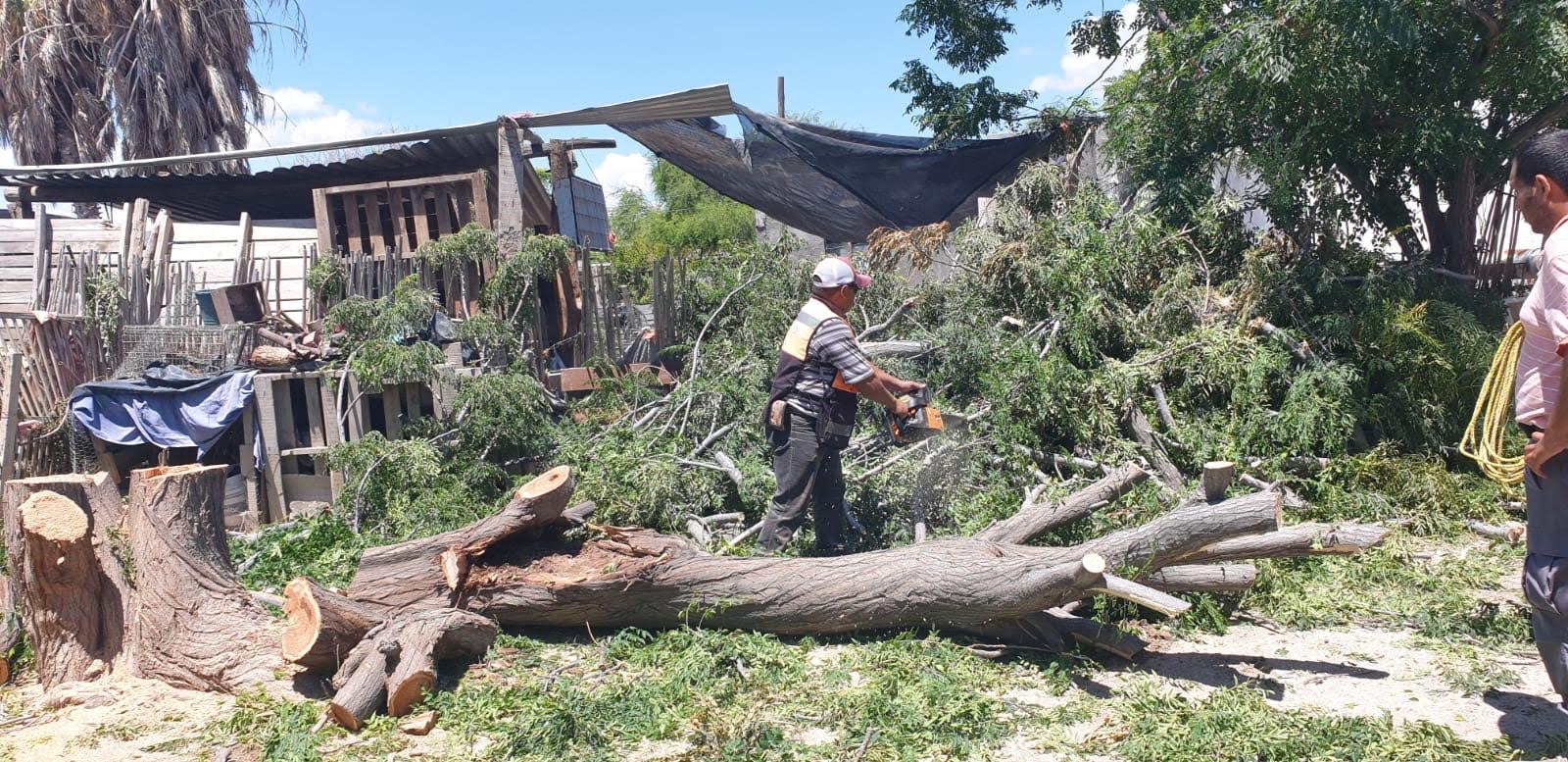 Atiende Ecología los reportes ciudadanos