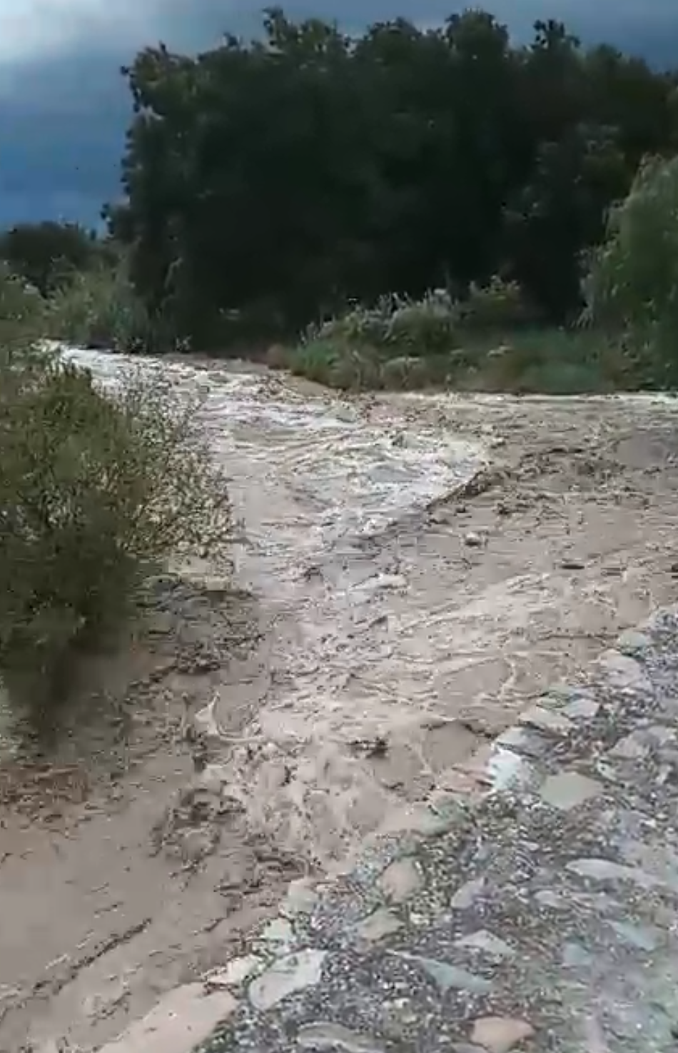 Causa alarma crecida del Arroyo Guadalupe