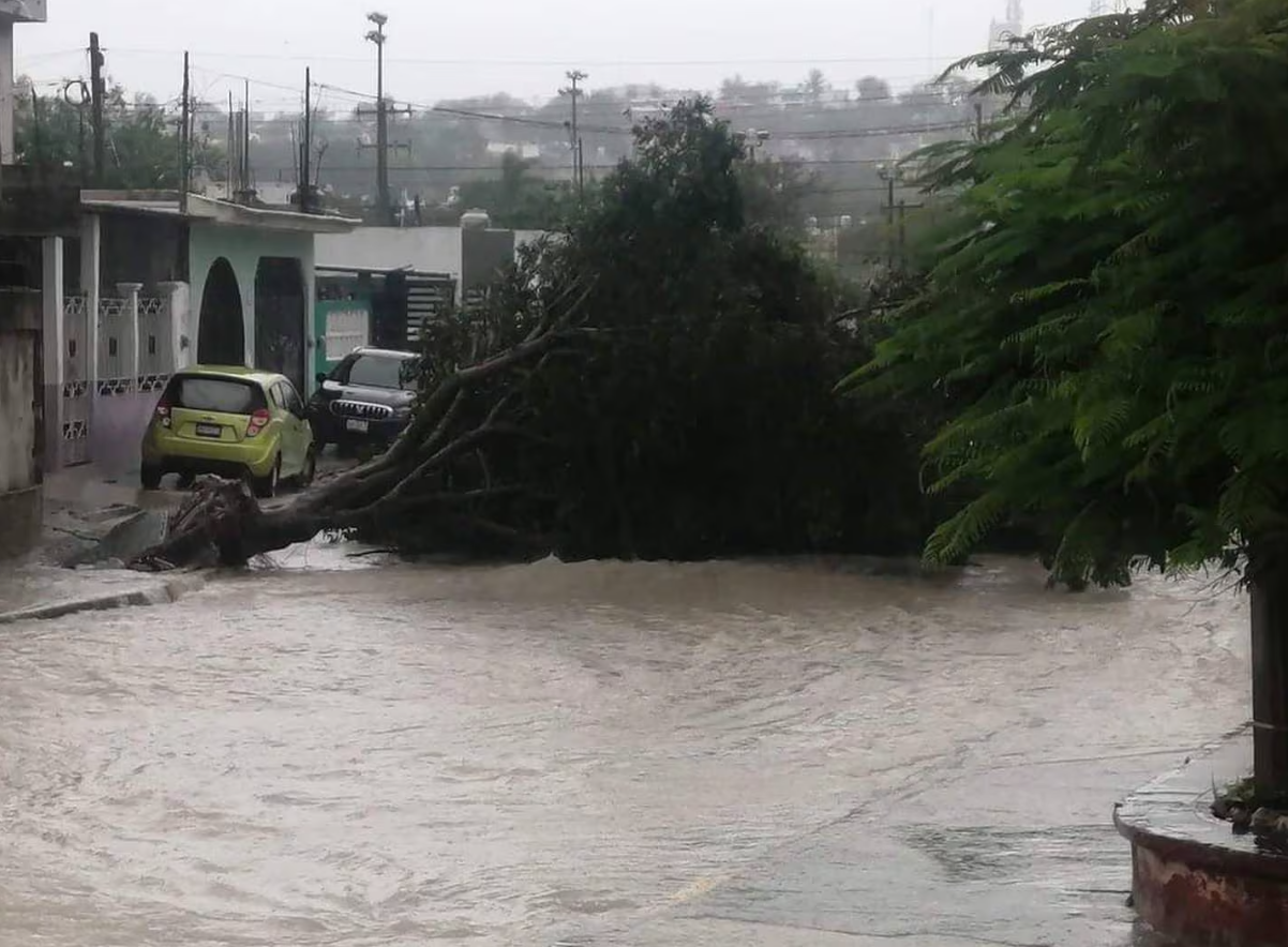Lluvias en Campeche y Quintana Roo: Reportan calles inundadas por el ciclón tropical Uno