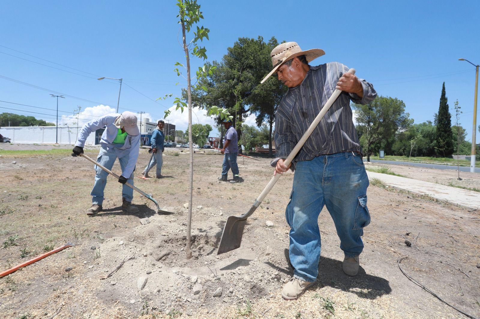 Premiará Saltillo a quien cuide el medio ambiente