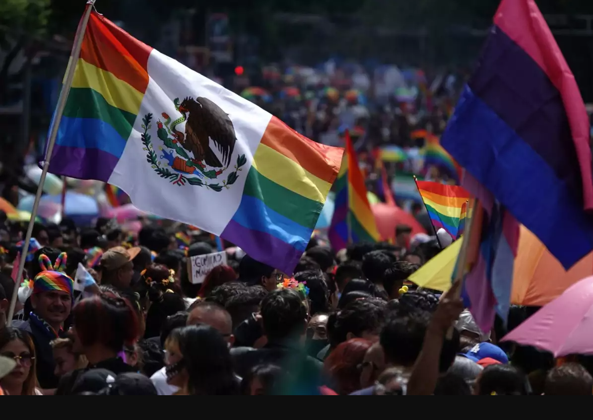 Partidos reincidieron: burlaron y quitaron candidaturas a la comunidad trans