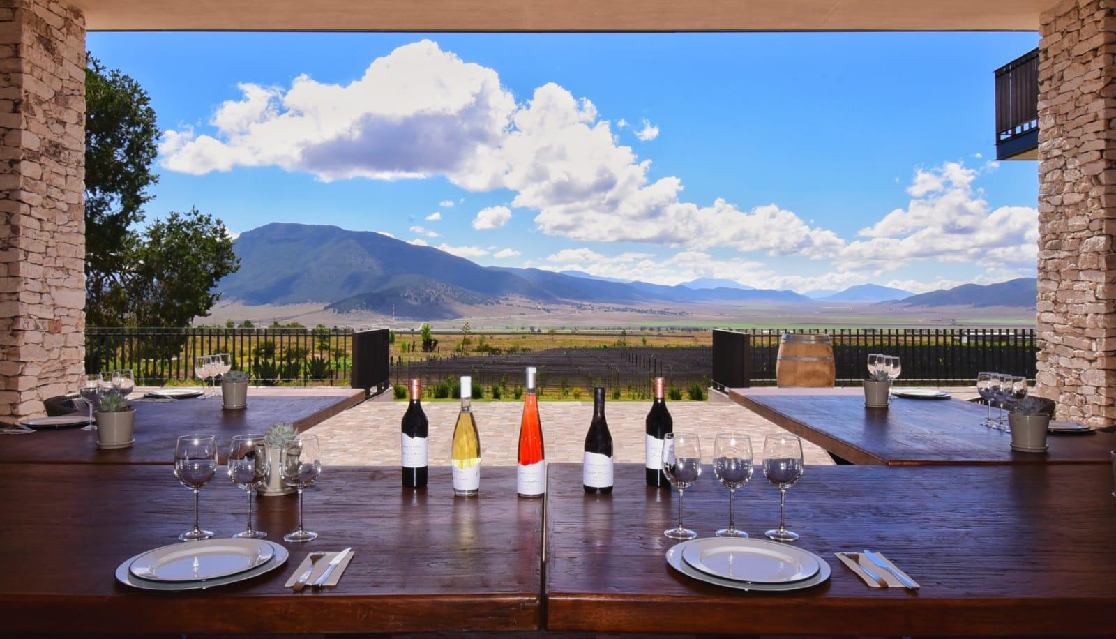 Son de Coahuila mejores vinos del país y del mundo