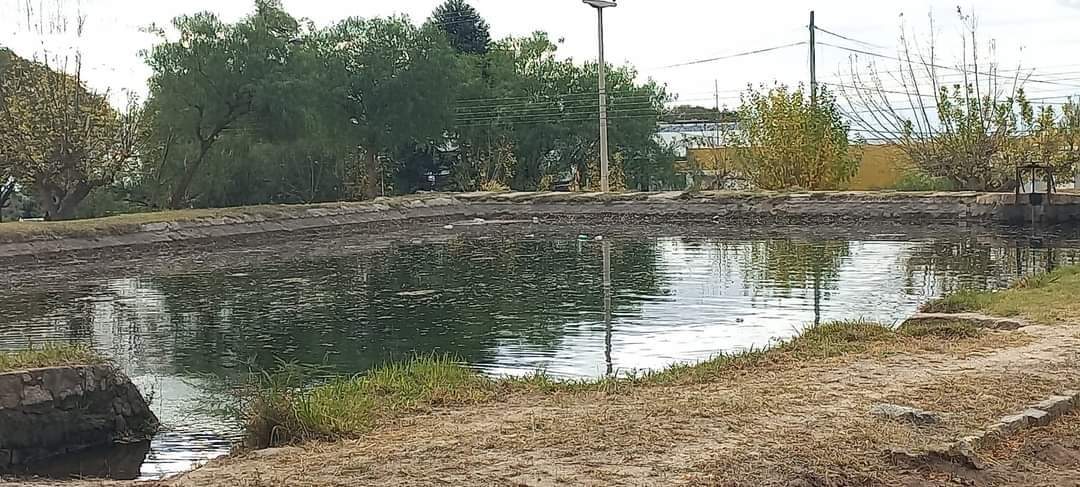 Lluvia trajo beneficios y ningún daño: CNC