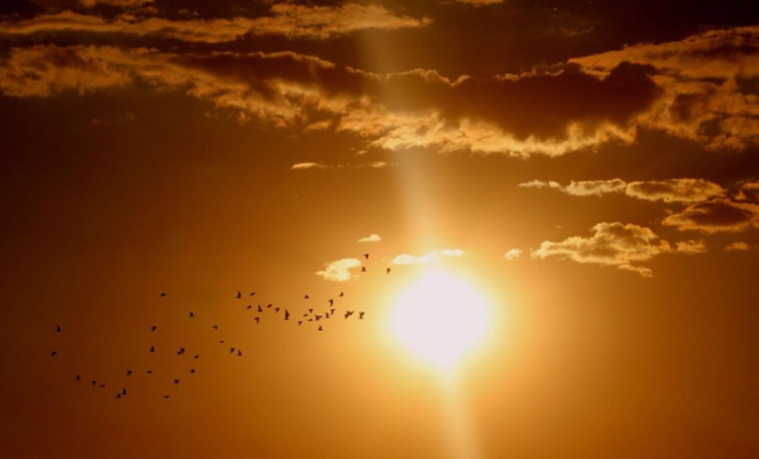 Solsticio de Verano 2024: ¿Cuándo y dónde ver el evento astronómico en México?