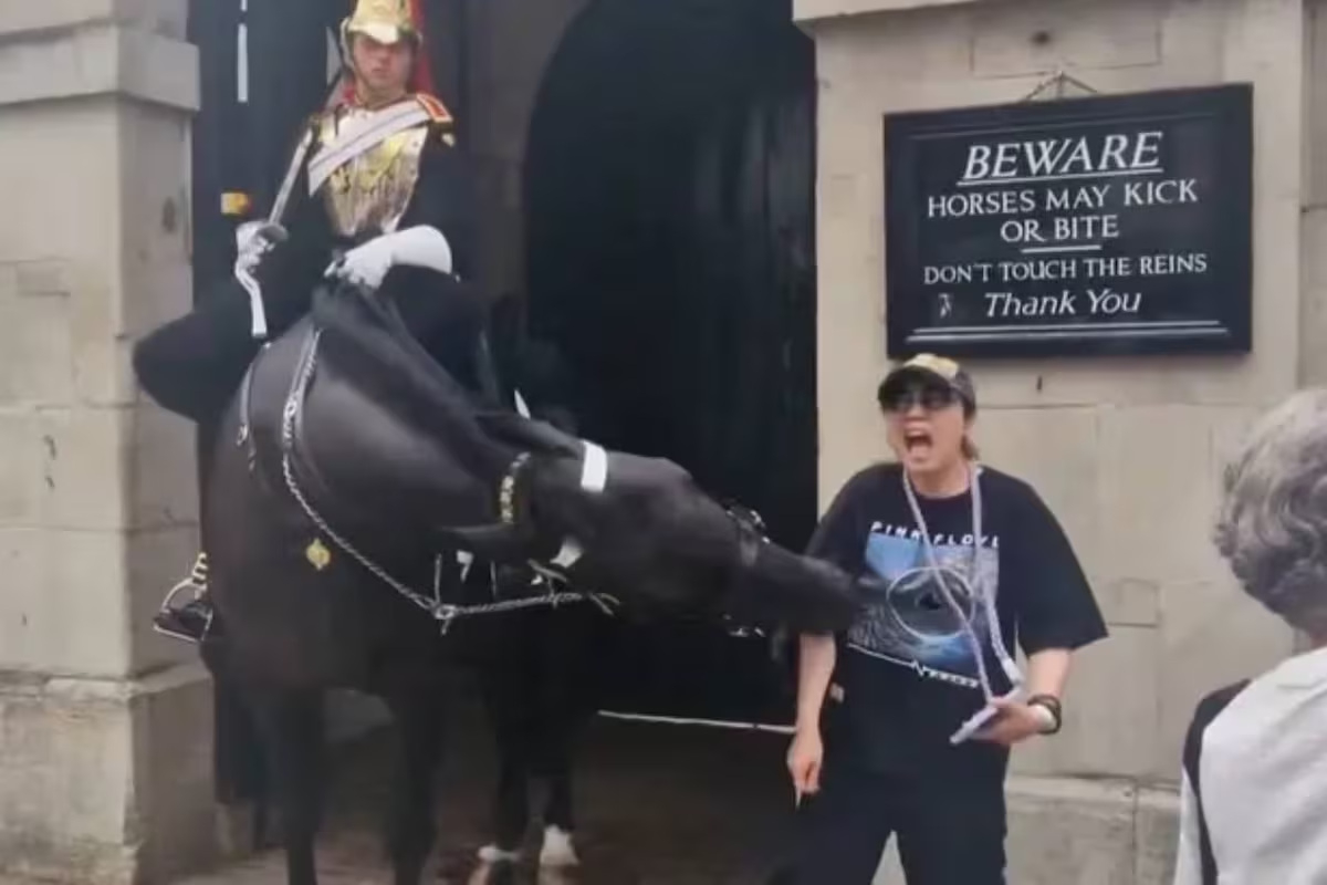Cabello guardia del rey Carlos III muerde a turista