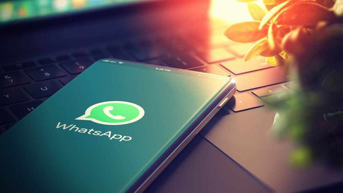 Cómo activar el círculo azul en WhatsApp para hablar con la inteligencia artificial