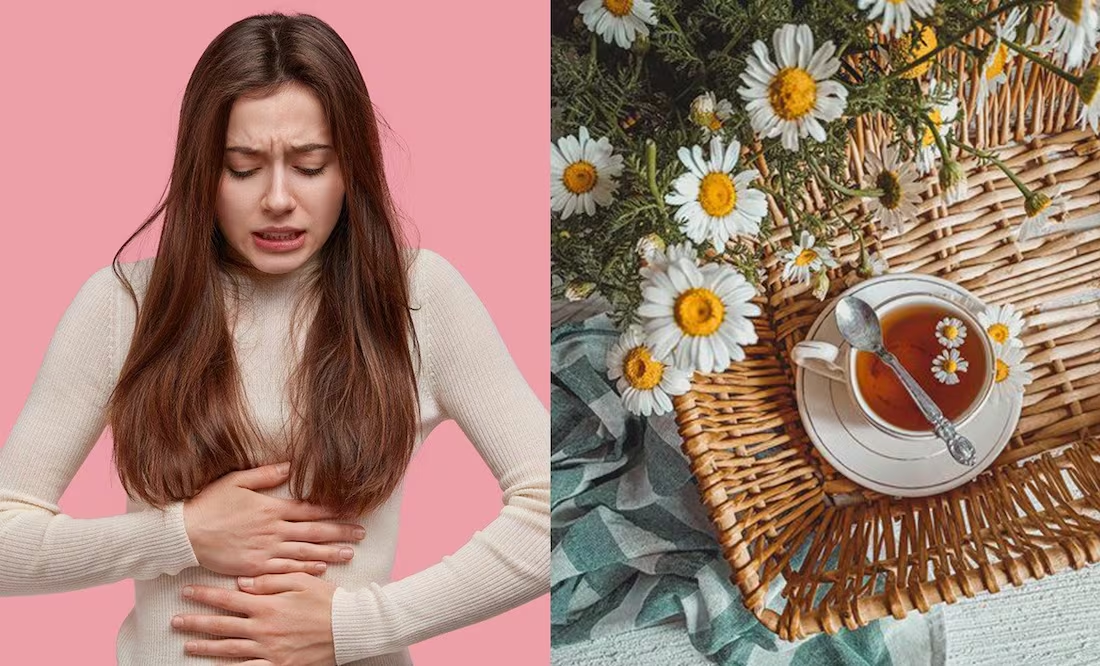 Descubre la planta que alivia los dolores menstruales y disminuye la ansiedad