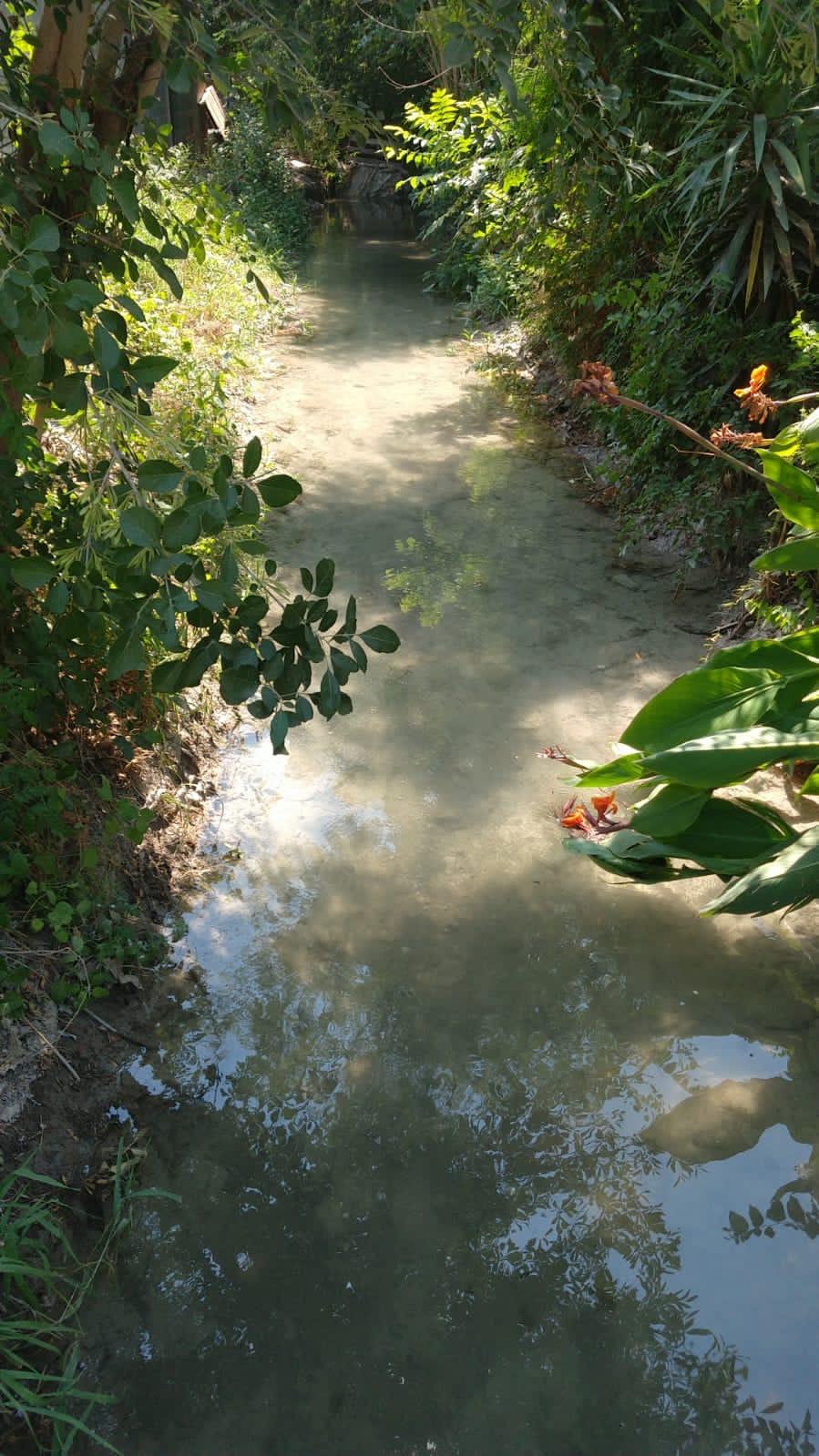 ECOLOGÍA PRESERVA USOS DE AGUA Y ACEQUIAS EN SB