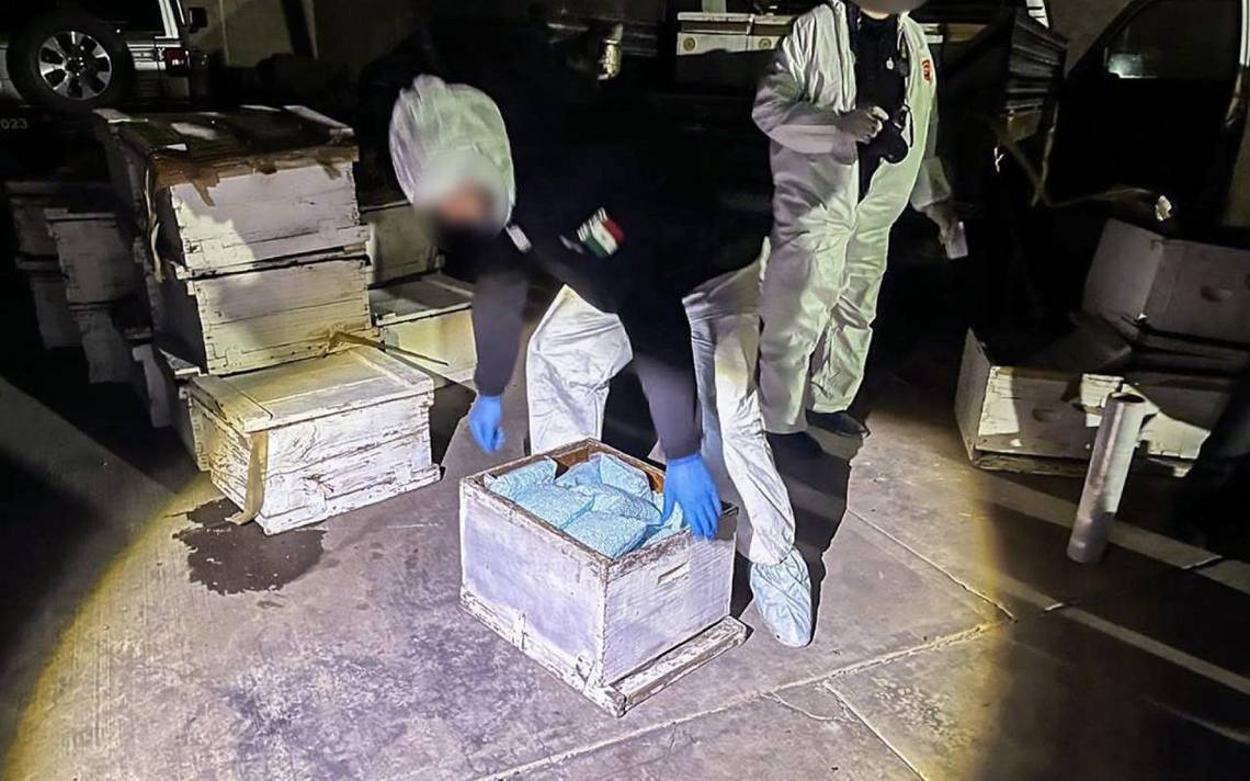 Fentanilo: EU decomisa más kilos y captura más delincuentes que México