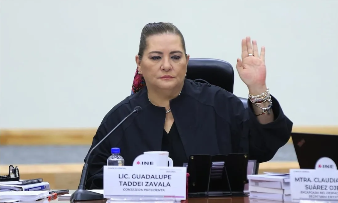 Guadalupe Taddei asegura que INE «no regala diputaciones «y defiende supermayoría asignada a Morena