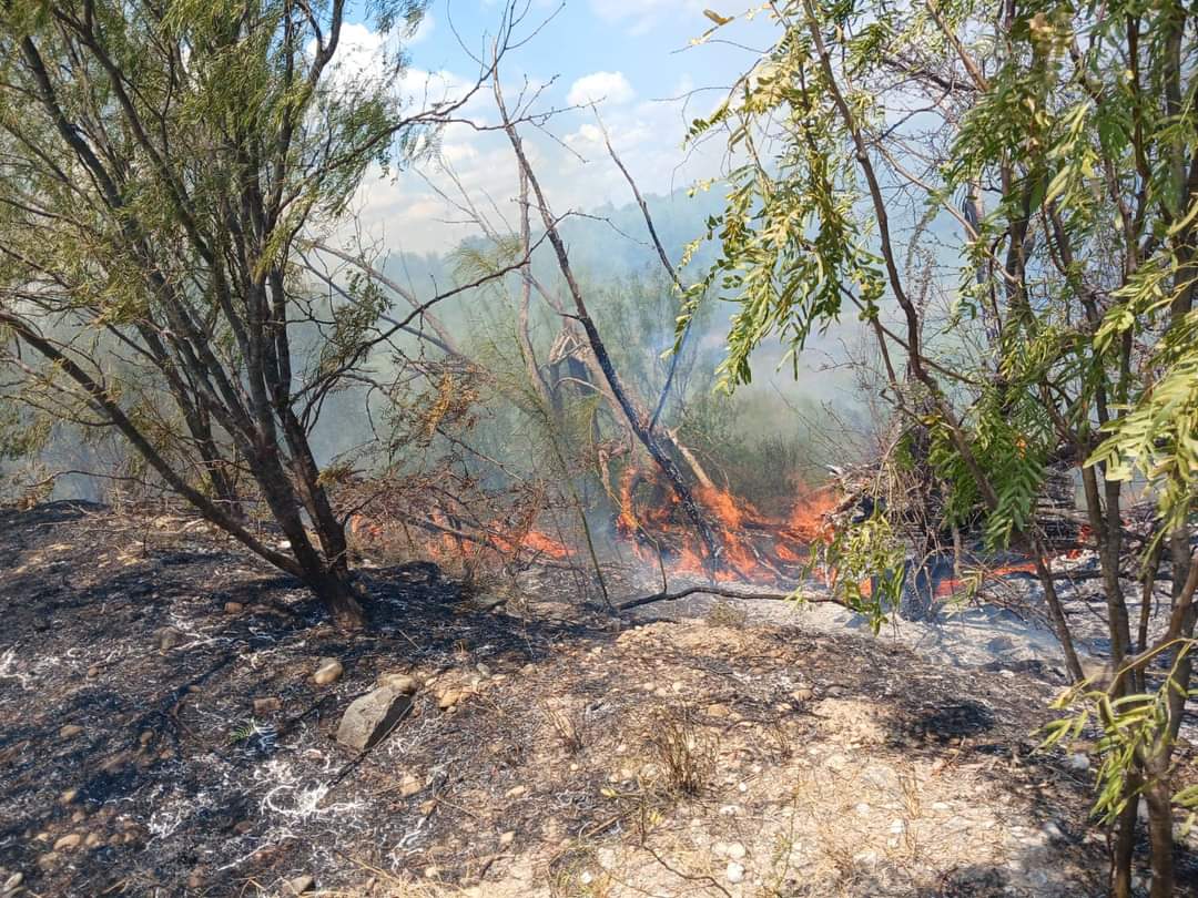 Controla PC incendio forestal en Sabinas
