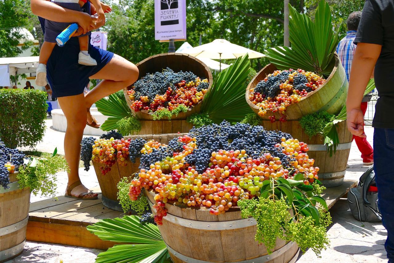 Éxito Rotundo de Feria de la Uva y del Vino 2024