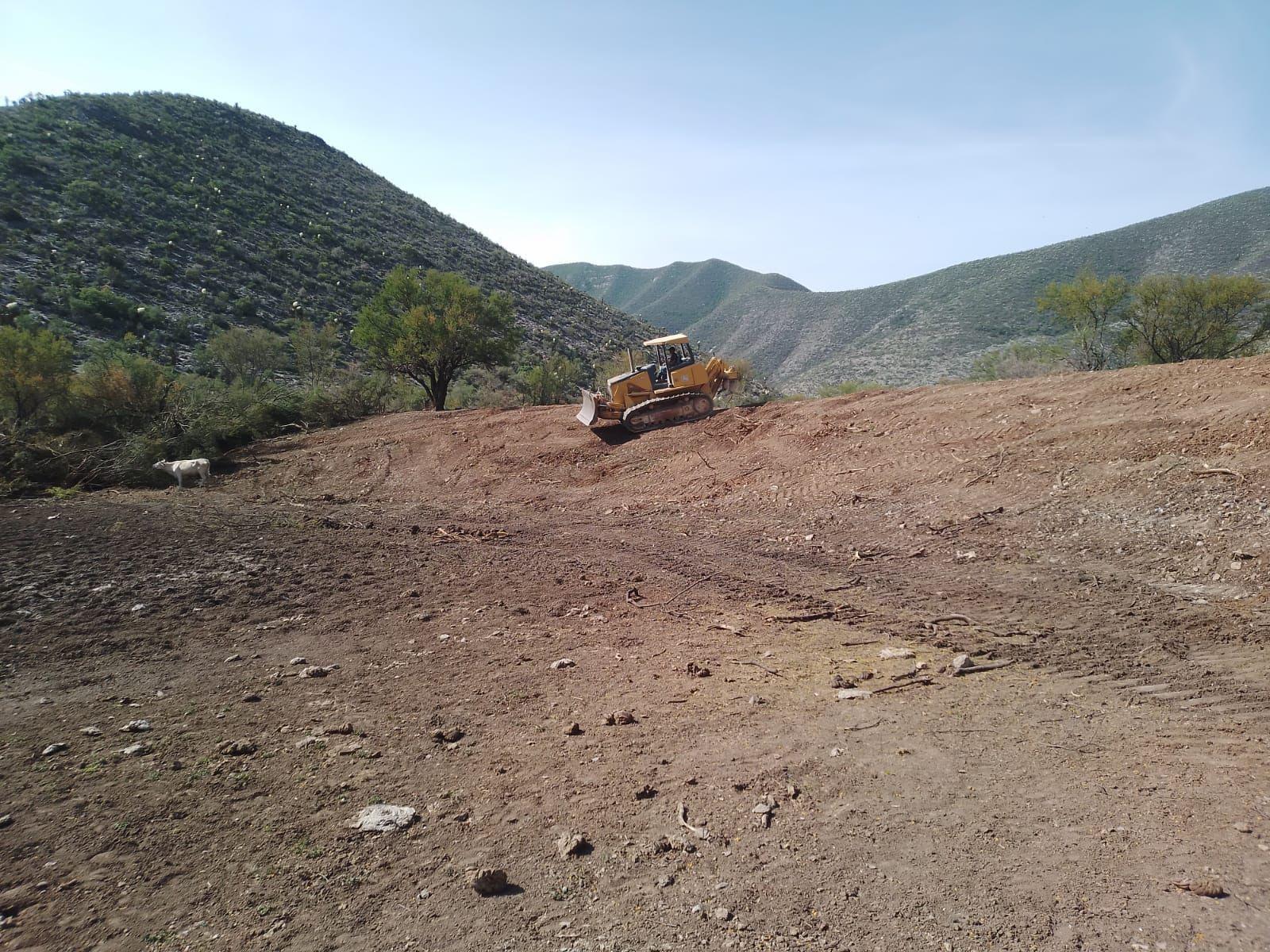 SE AVANZA EN OBRAS DE DESAZOLVE EN EL CAMPO