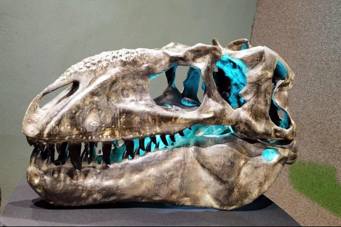 Presenta MUDE nueva especie de tiranosaurio