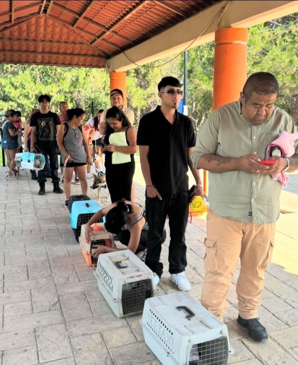 Invitan a esterilización de mascotas en Saltillo