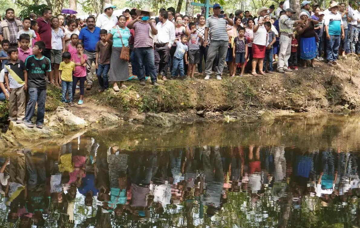 Sembrando Vida no logra sacar de la pobreza extrema a campesinos más vulnerables