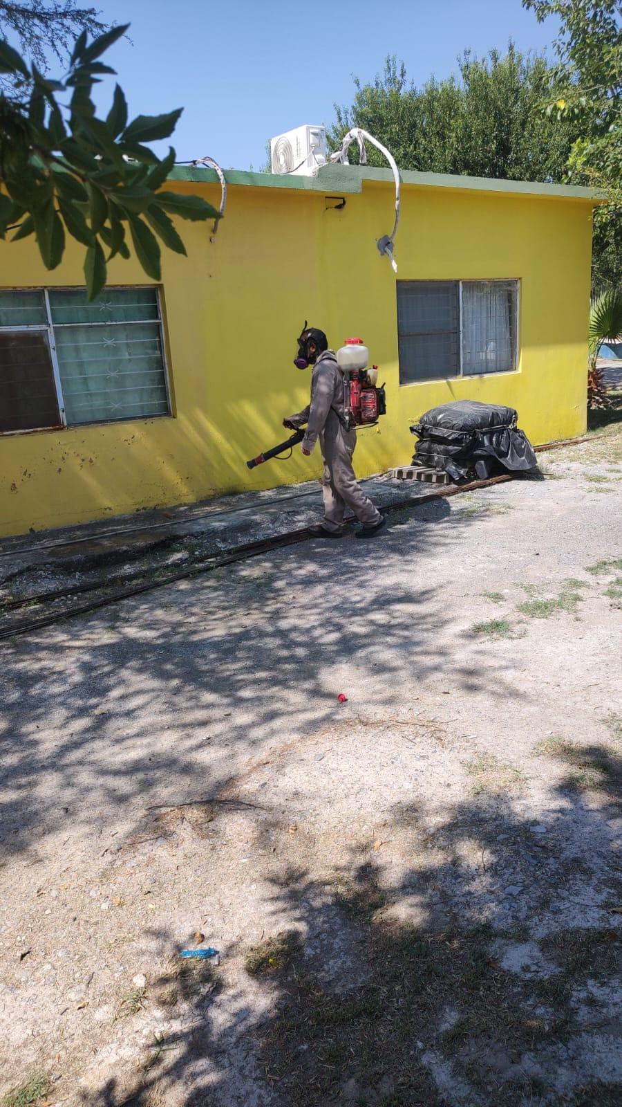 Preparan fumigación para combatir dengue