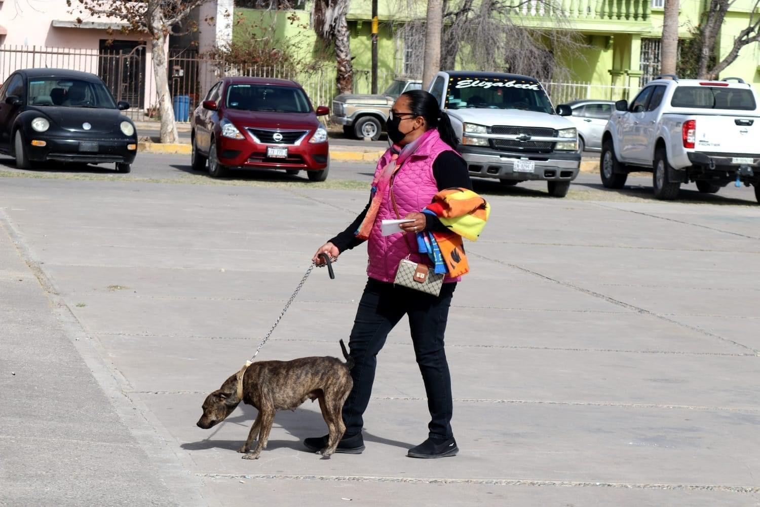 Invitan a campaña de esterilización animal
