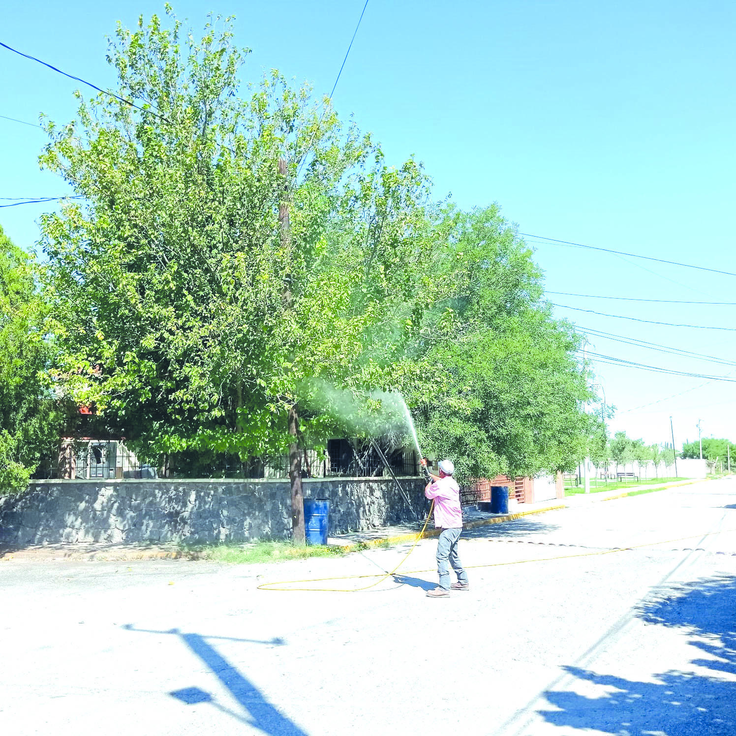 Fumigan planta tratadora para combatir el dengue