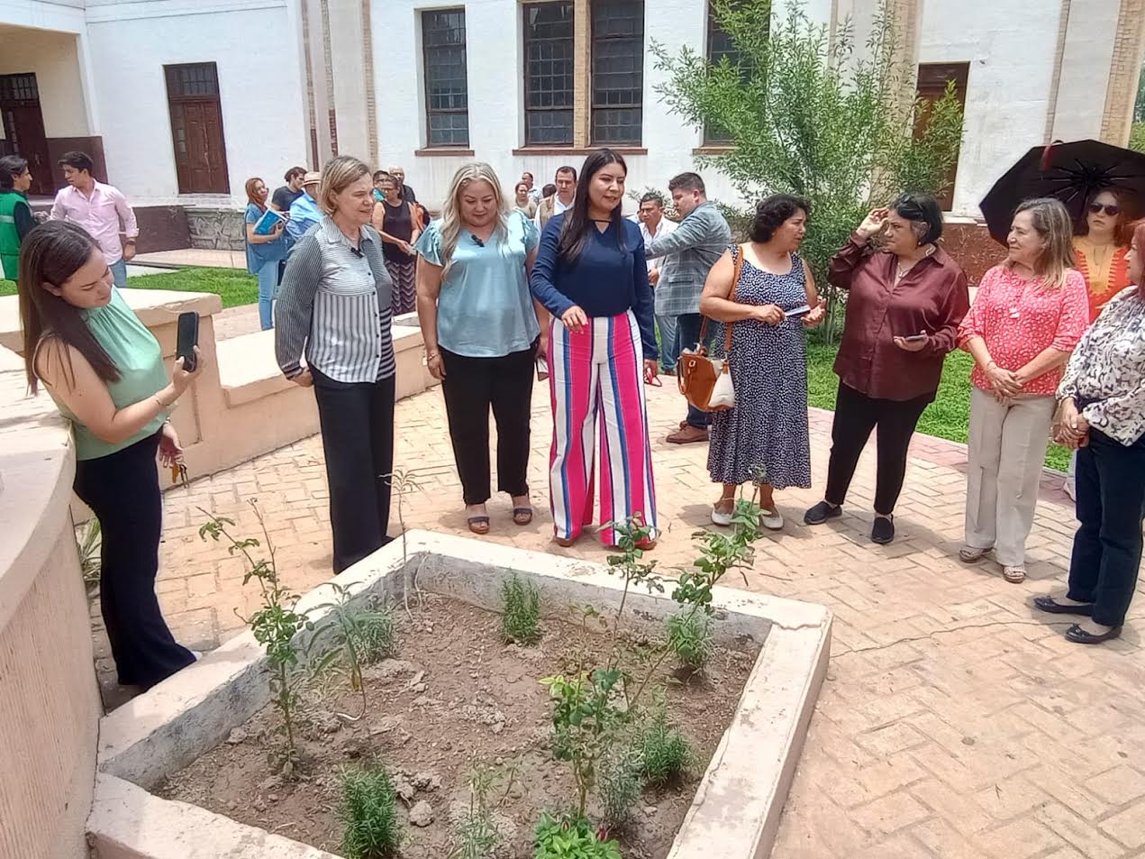 Exhortan a respetar paso de la Monarca