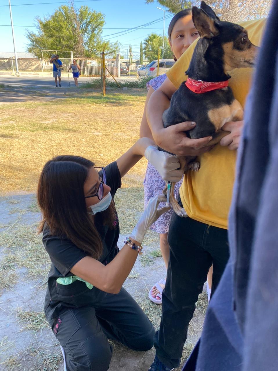 Realizan vacunación de mascotas en SB