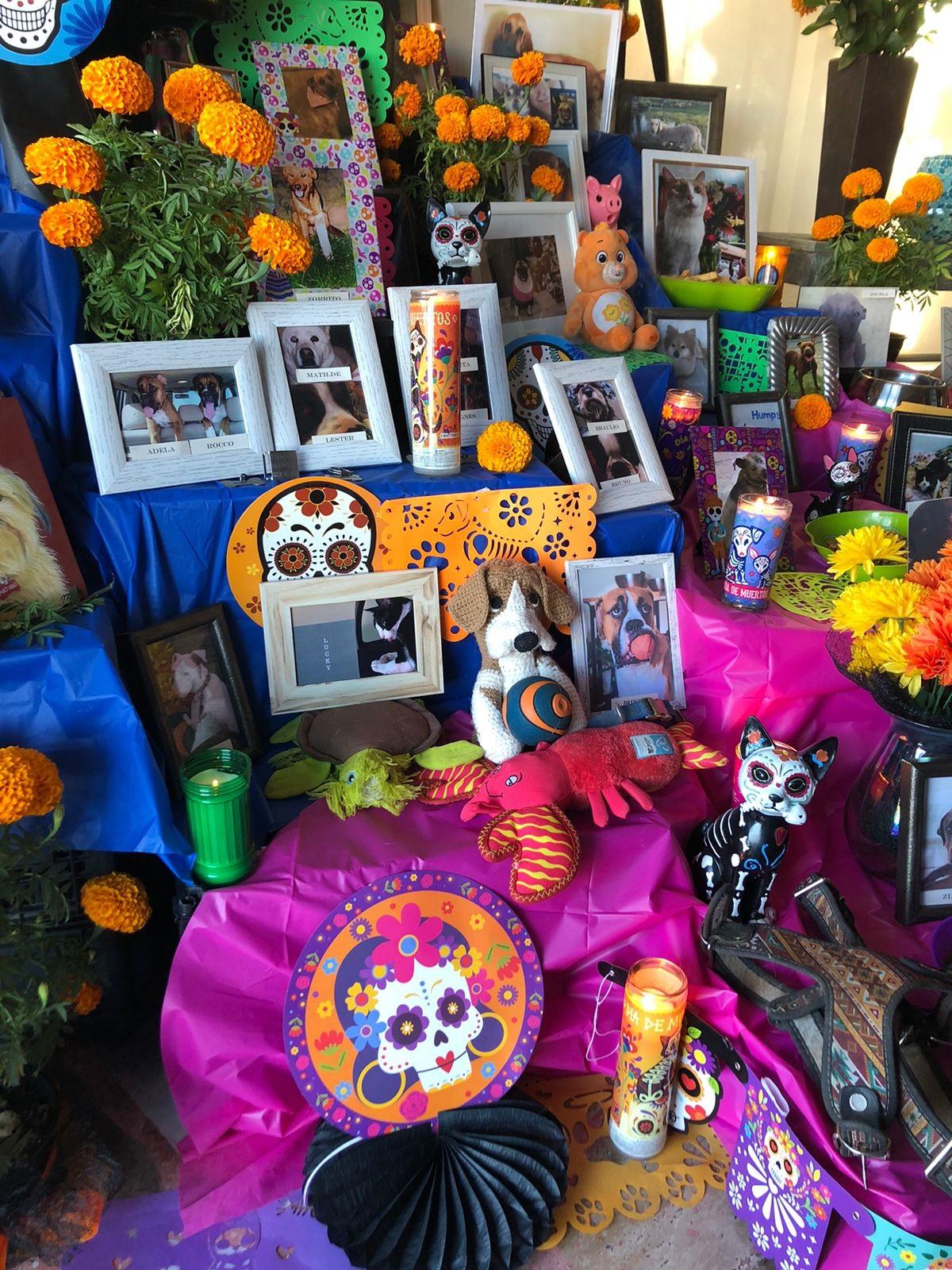 Montan altar de muertos con mascotas fallecidas