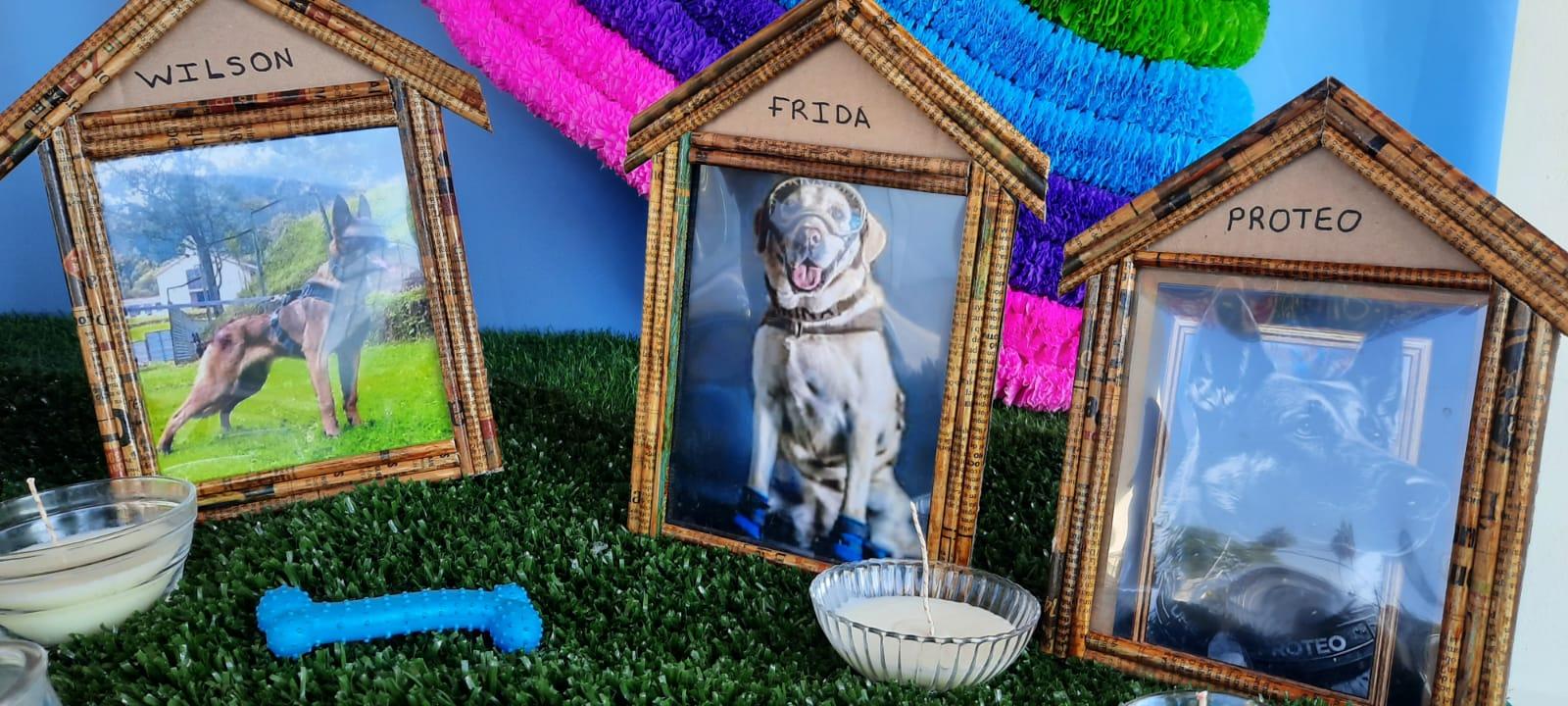 Colocan 900 fotografías en mega altar de vecinos