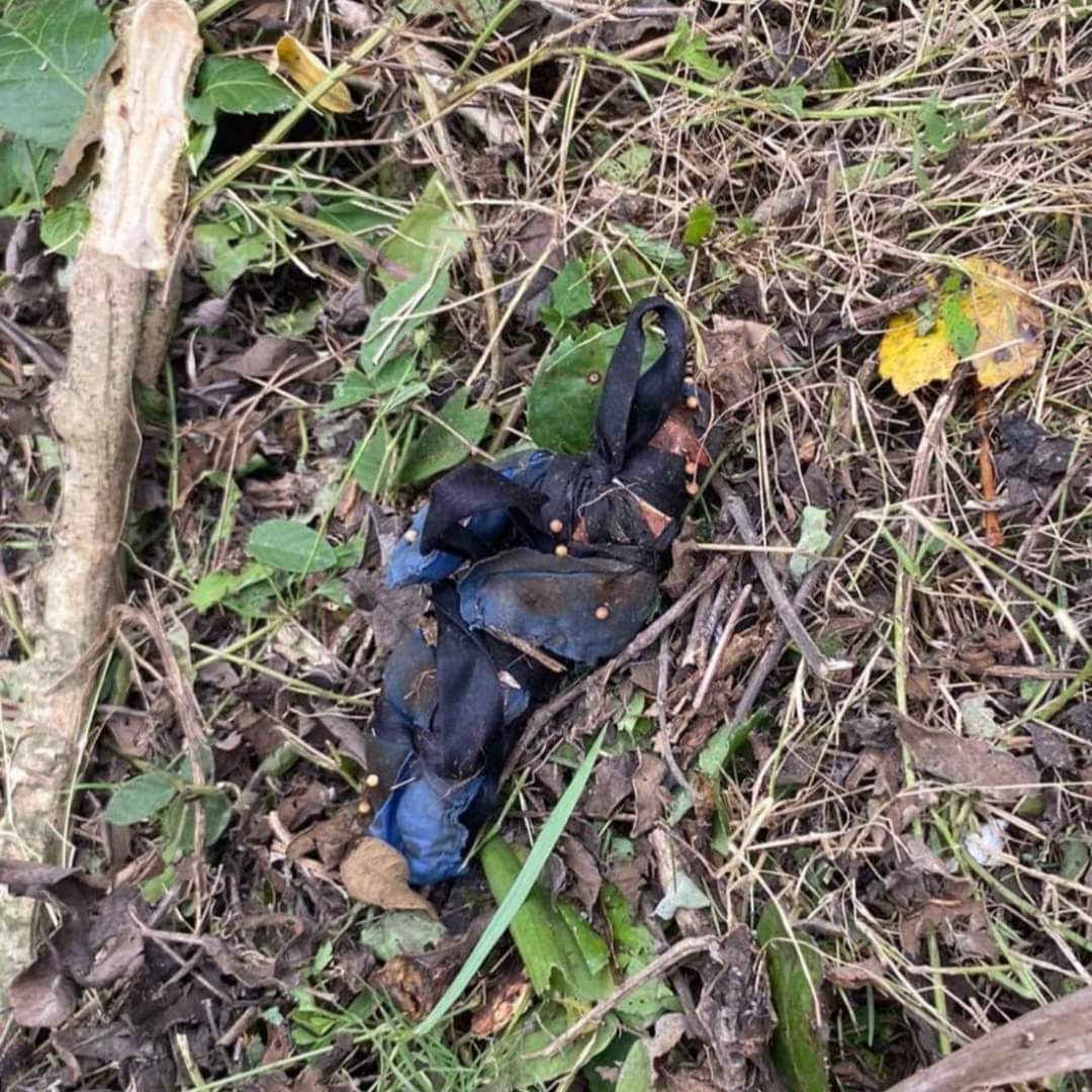 Encuentran entre basura “brujería” en el panteón