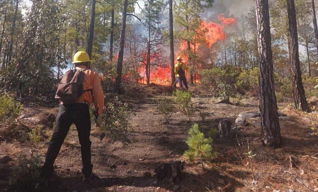 Suman 240 conatos de incendios forestales