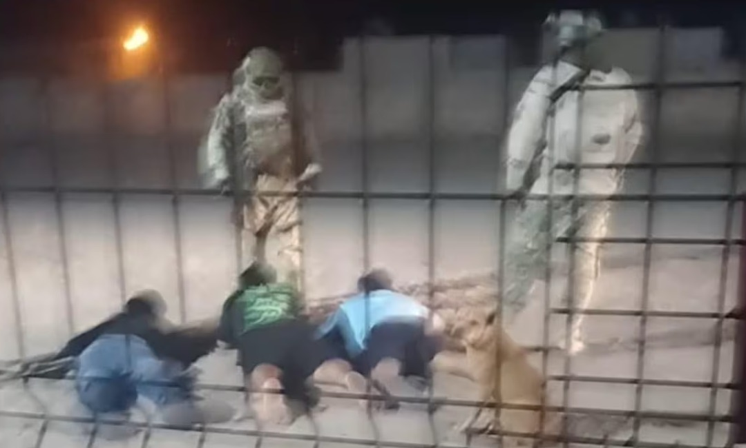 Militares agreden a tres hijos de periodista asesinado en Sonora el año pasado; están bajo resguardo del Mecanismo de Protección