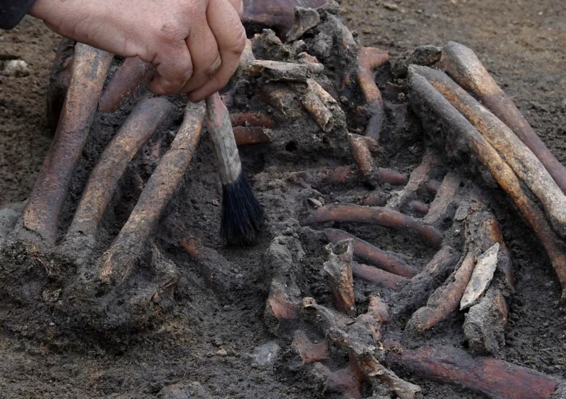 Un grupo de arqueólogos descubrió más de 50 esqueletos vikingos en un enorme cementerio en Dinamarca