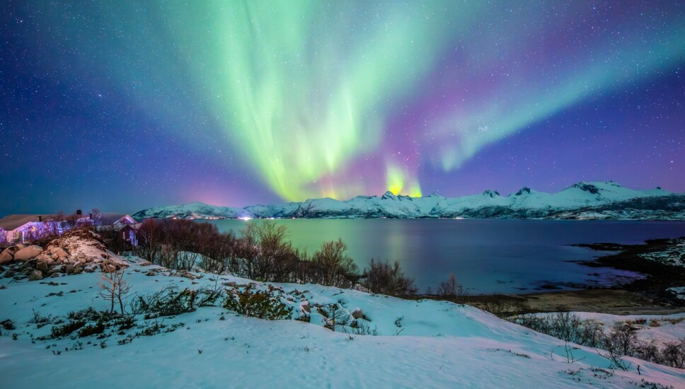 ¿En qué estados de México se podrán ver auroras boreales?