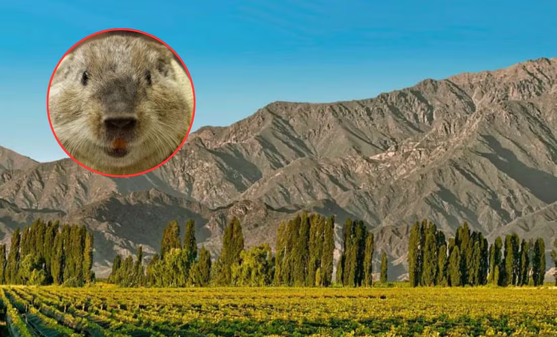 Conoce la nueva especie animal que descubrió la ciencia