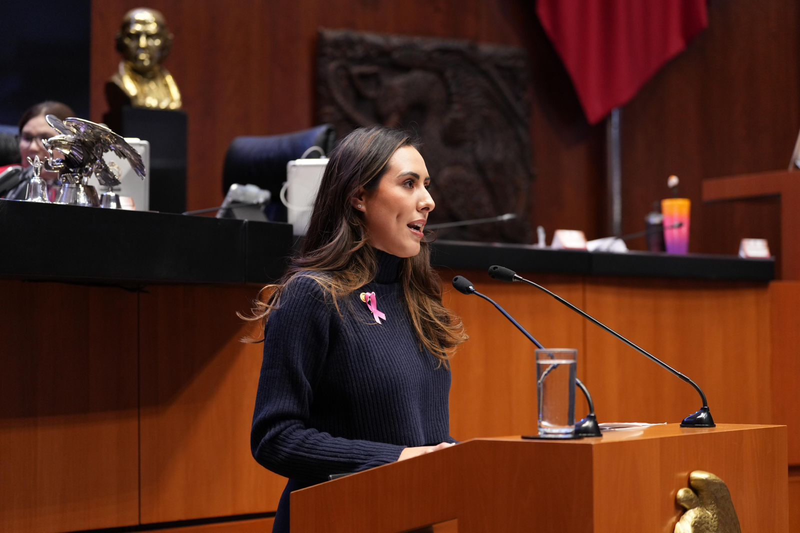 Desde la máxima tribuna del país, Cecilia Guadiana recuerda el Voto universal a las mujeres.